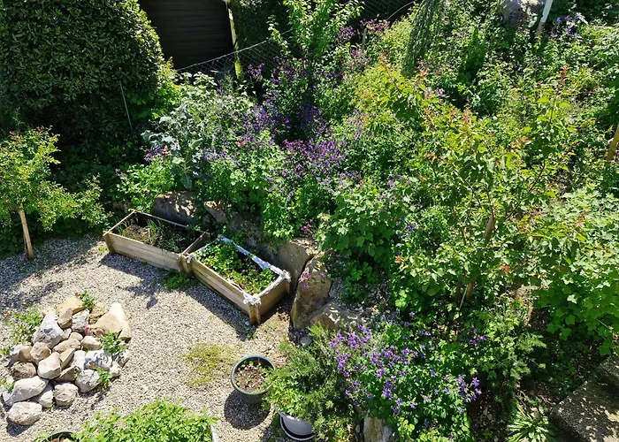 Roses & Nature ゲストハウス Saint-Gingolph