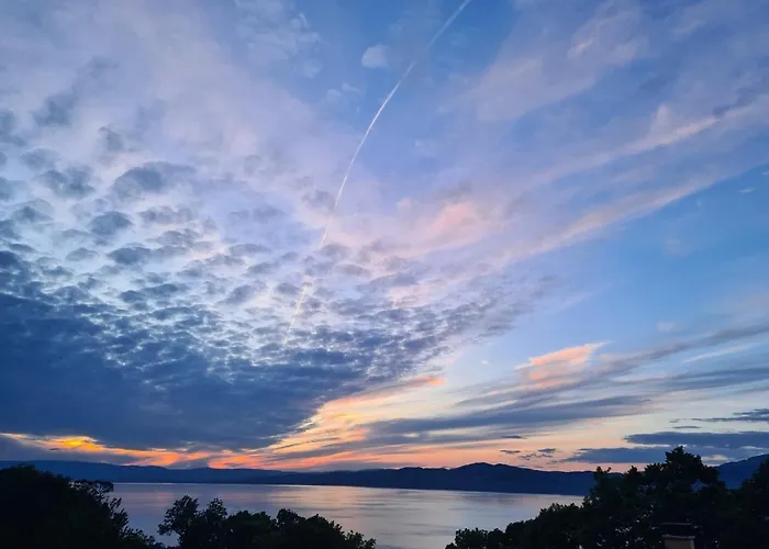 Roses & Nature ゲストハウス *