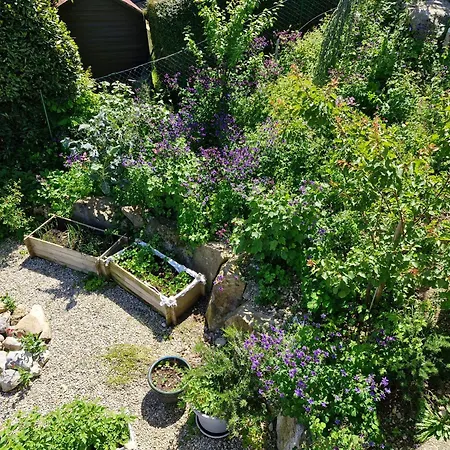 Roses & Nature Гостевой дом Saint-Gingolph