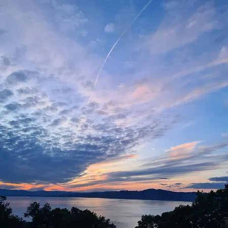 Roses & Nature ゲストハウス *